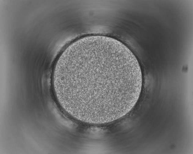 X0000111620632200908141319