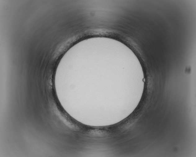 X0000111620633200908141319