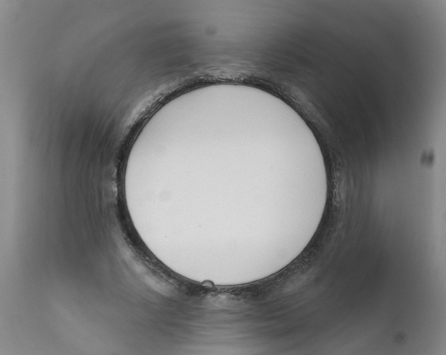 X0000111620634200908141319