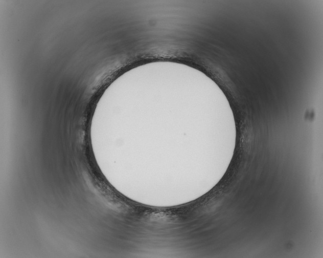 X0000111620635200908141319