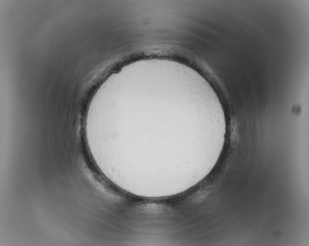 X0000111620637200908141319