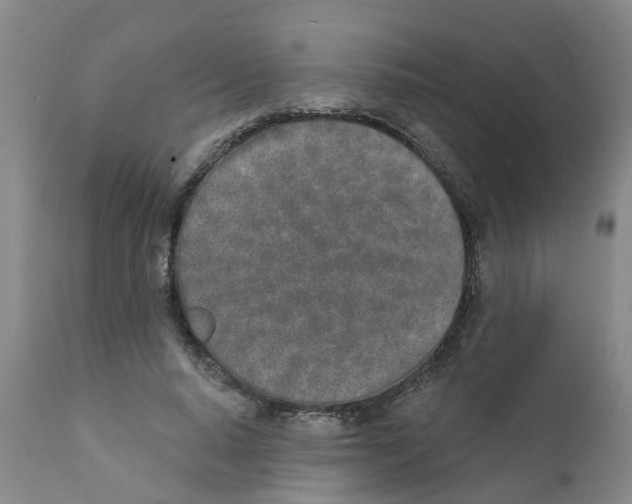 X0000111620640200908141319