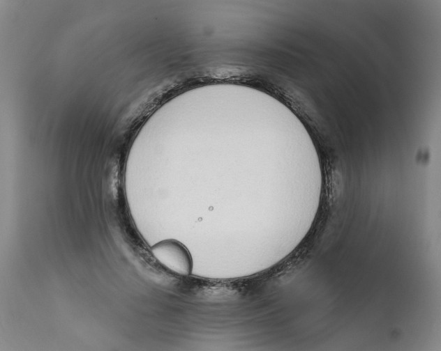 X0000111620644200908141319