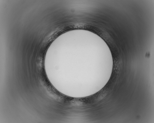 X0000111620648200908141319