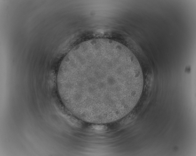 X0000111620659200908141319