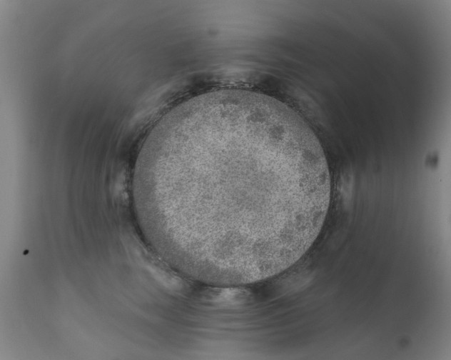 X0000111620663200908141319