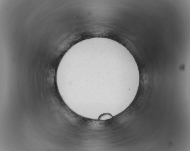 X0000111620664200908141319