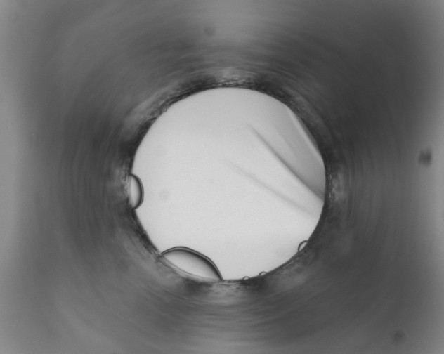 X0000111620666200908141319