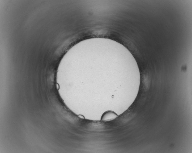 X0000111620668200908141319