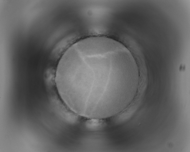 X0000111620672200908141320