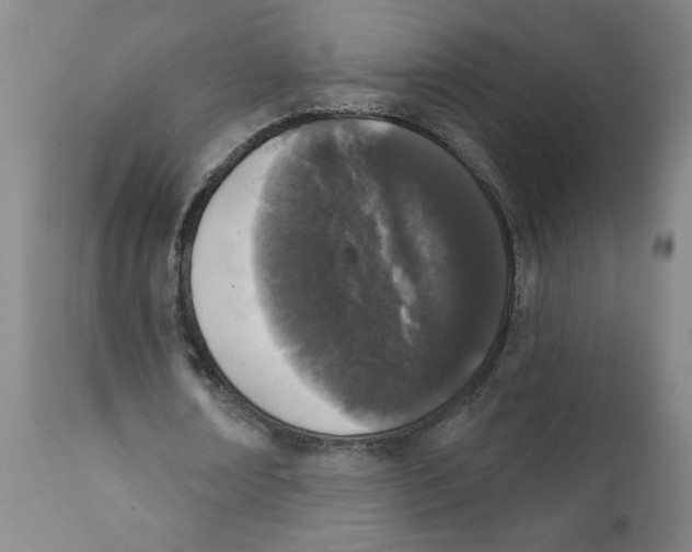 X0000111620674200908141319