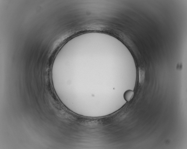 X0000111620675200908141319