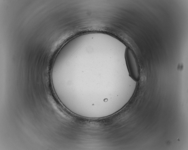 X0000111620677200908141319