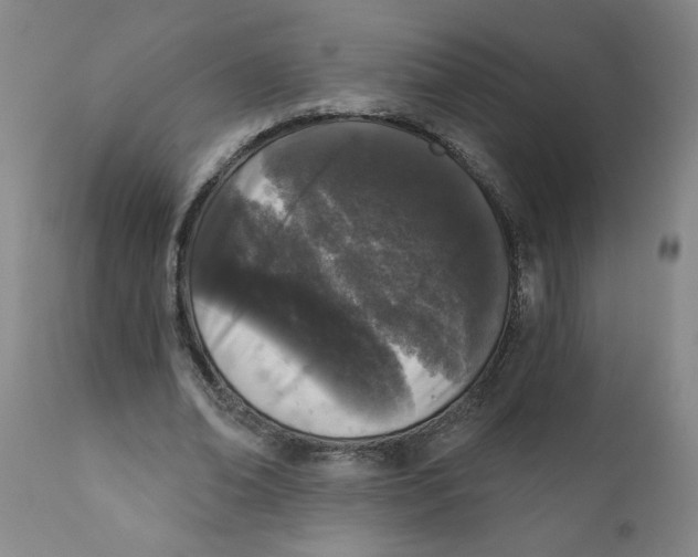 X0000111620678200908141319