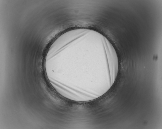 X0000111620679200908141319