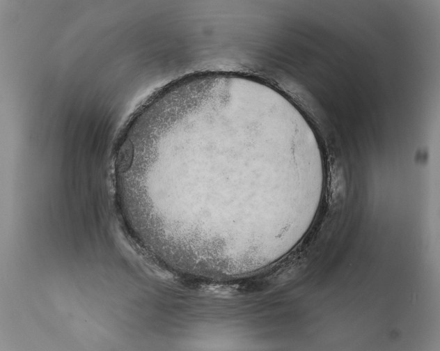 X0000111620680200908141319