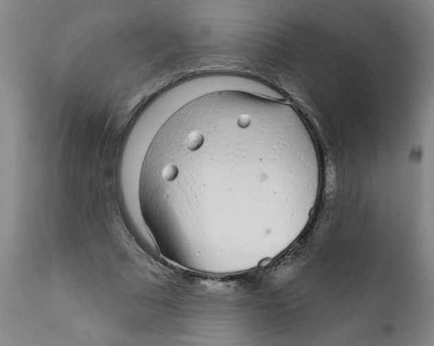 X0000111620681200908141319