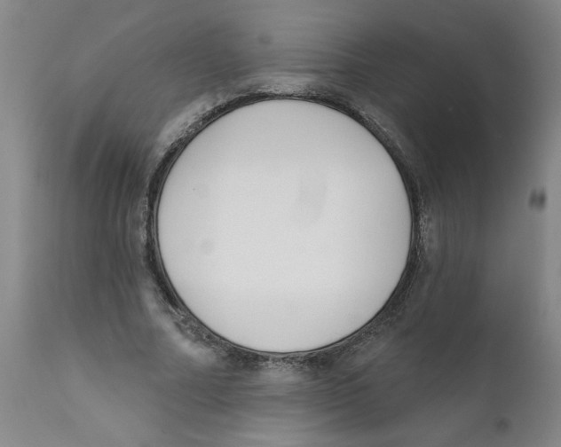 X0000111620682200908141319