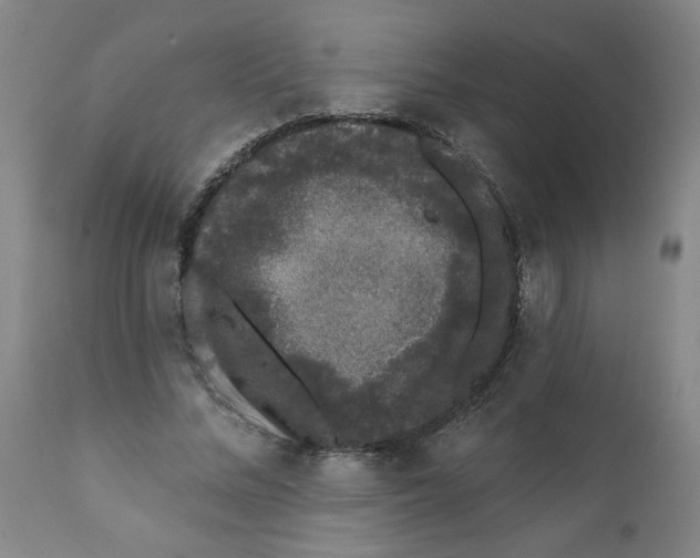 X0000111620684200908141319