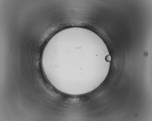 X0000111620687200908141319