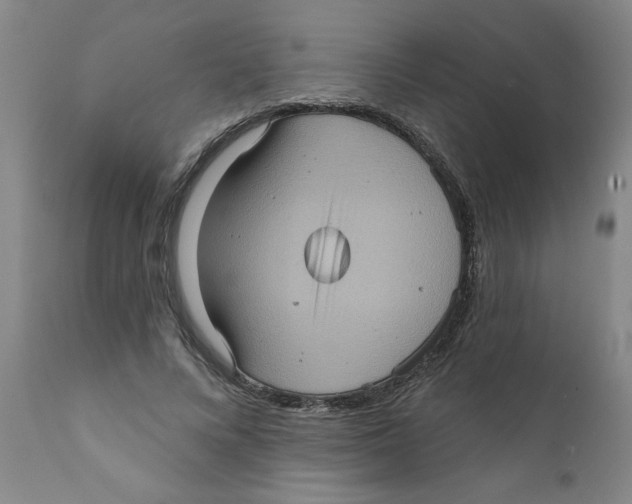 X0000111620688200908141319