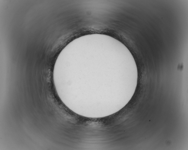 X0000111620689200908141319