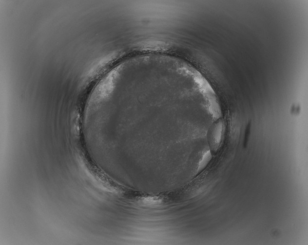 X0000111620692200908141319