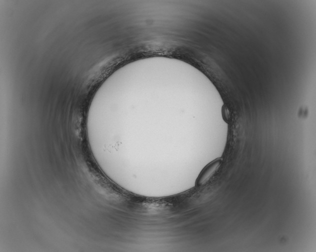 X0000111620693200908141319