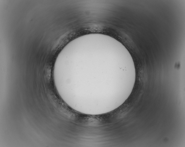 X0000111620697200908141319