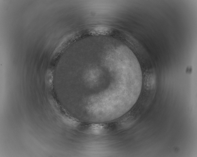 X0000111620701200908141318