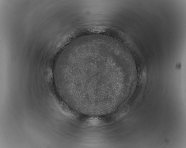 X0000111620704200908141318