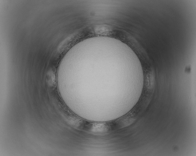 X0000111620705200908141318