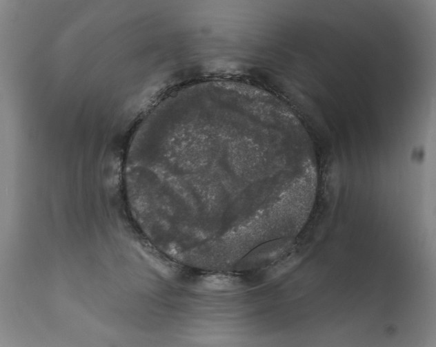 X0000111620708200908141318