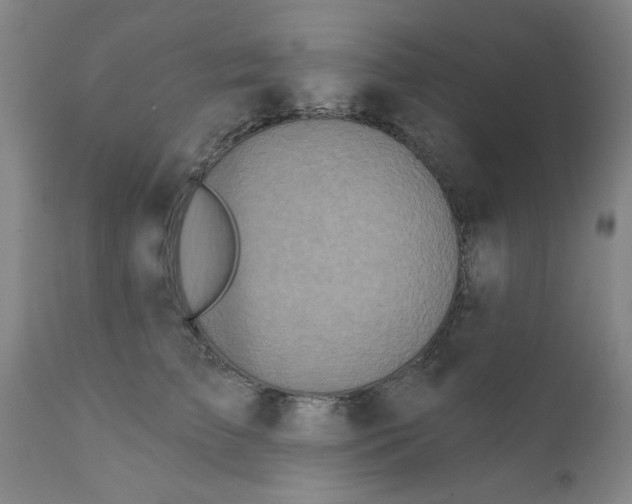 X0000111620709200908141318