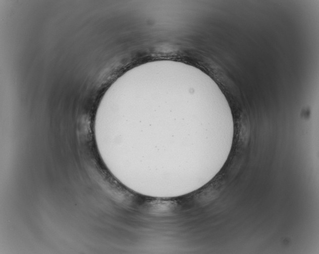 X0000111620711200908141318