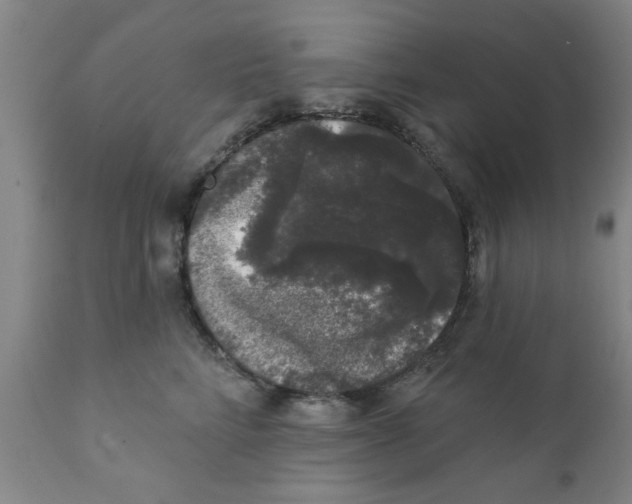 X0000111620712200908141318