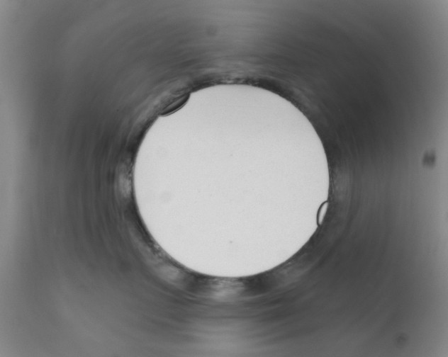 X0000111620719200908141318