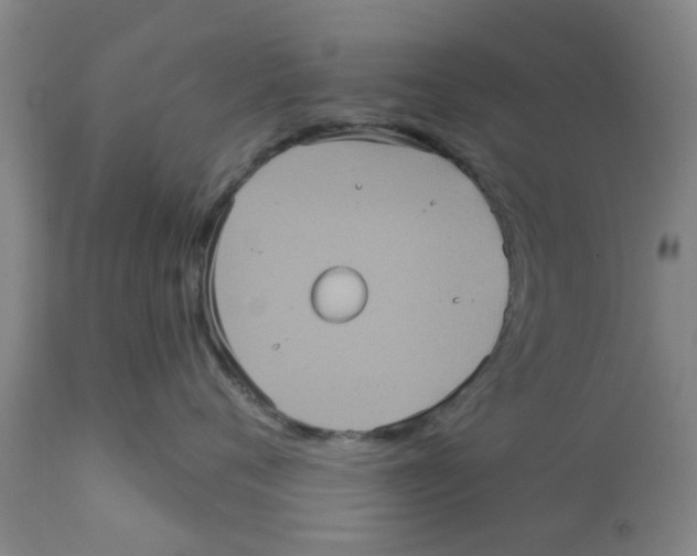 X0000111620720200908141318