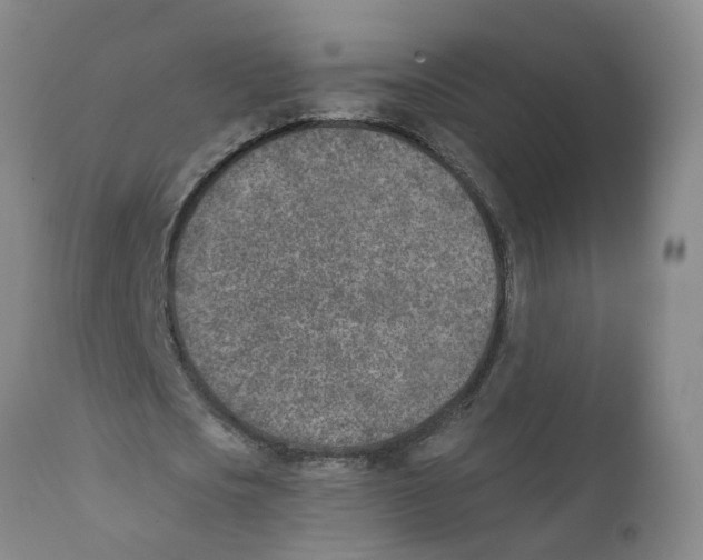 X0000111620721200908141317