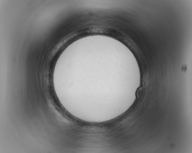 X0000111620722200908141317