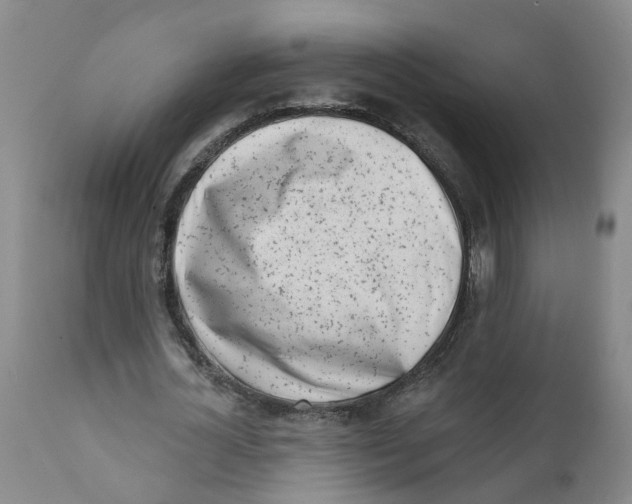 X0000111620724200908141317