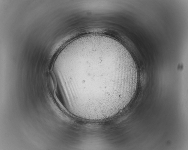 X0000111620725200908141317