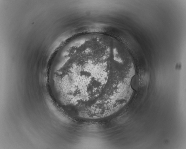 X0000111620726200908141317