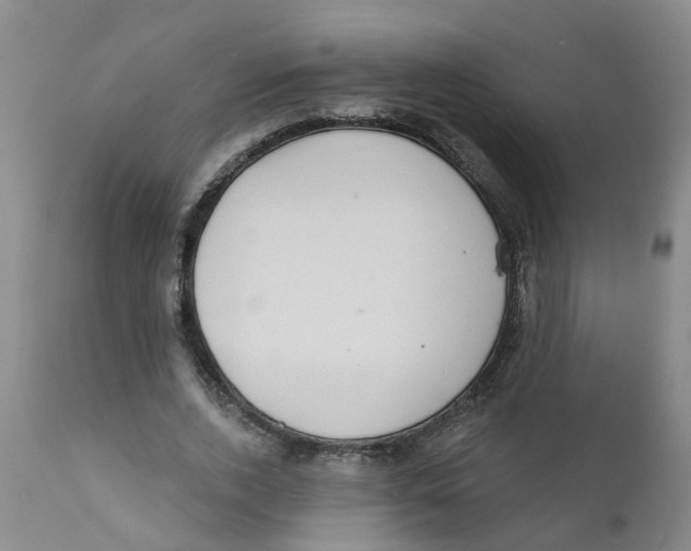 X0000111620728200908141317