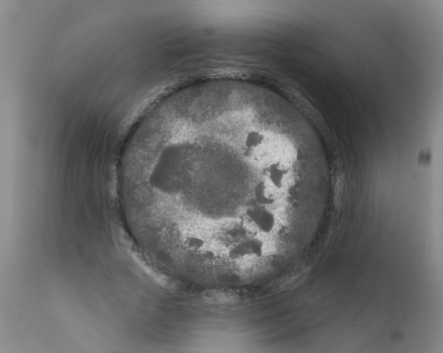 X0000111620729200908141318