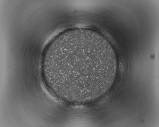 X0000111620730200908141318