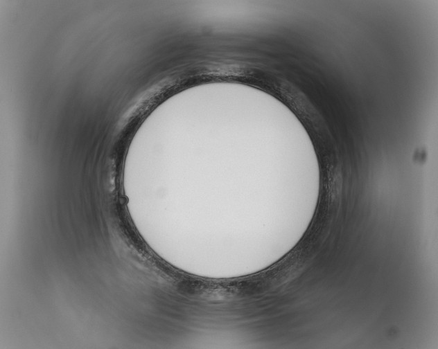 X0000111620731200908141318