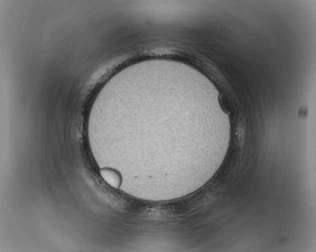 X0000111620732200908141318