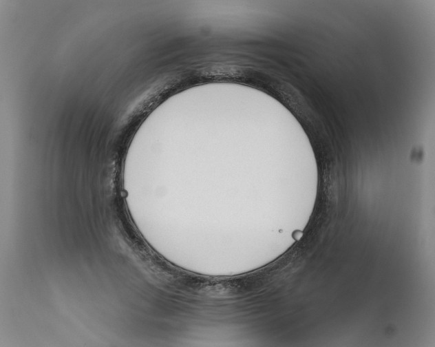 X0000111620735200908141318