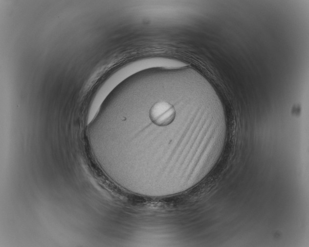 X0000111620736200908141318